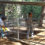 Corral painting 4