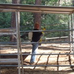 Corral painting 3