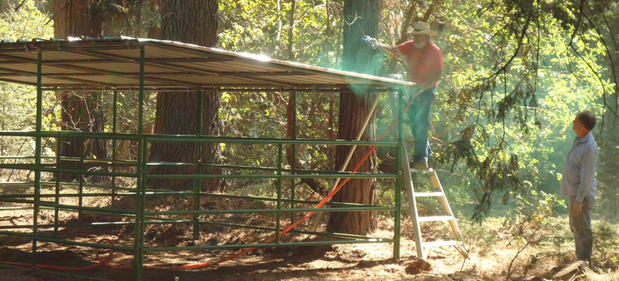 Painting a corral roof