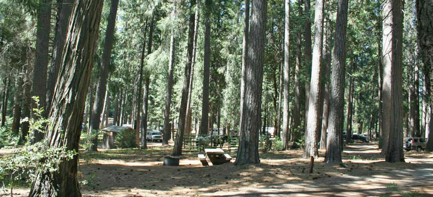 Dru Barner campground