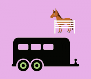 Large Rig Plus Pen (shared)