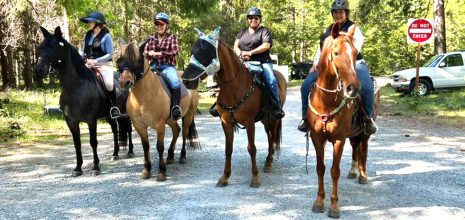 Four Horsewomen on horseback at the Fun Ride